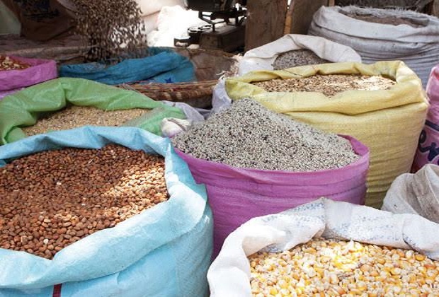 La FAO prédit la stabilité des marchés céréaliers