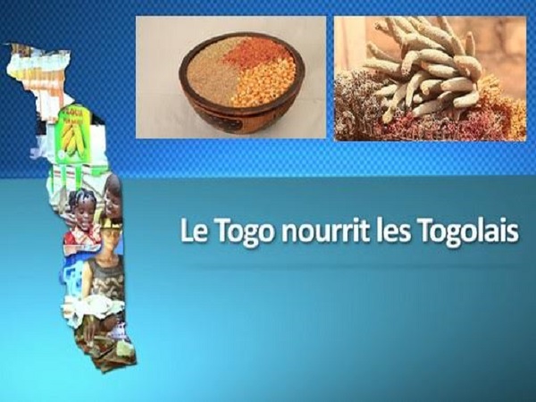 Le Togo à l’honneur le 21 août à Expo-Milano-2015