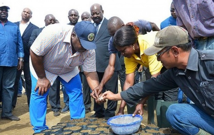 Gabon : Mise à disposition des terres cultivables