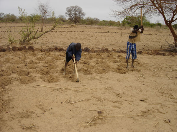 Le développement hypothéqué par la dégradation des sols débattu à Dakar