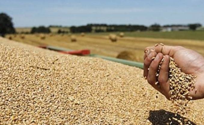 L’Algérie profite de la baisse des prix pour renflouer ses stocks de blé tendre