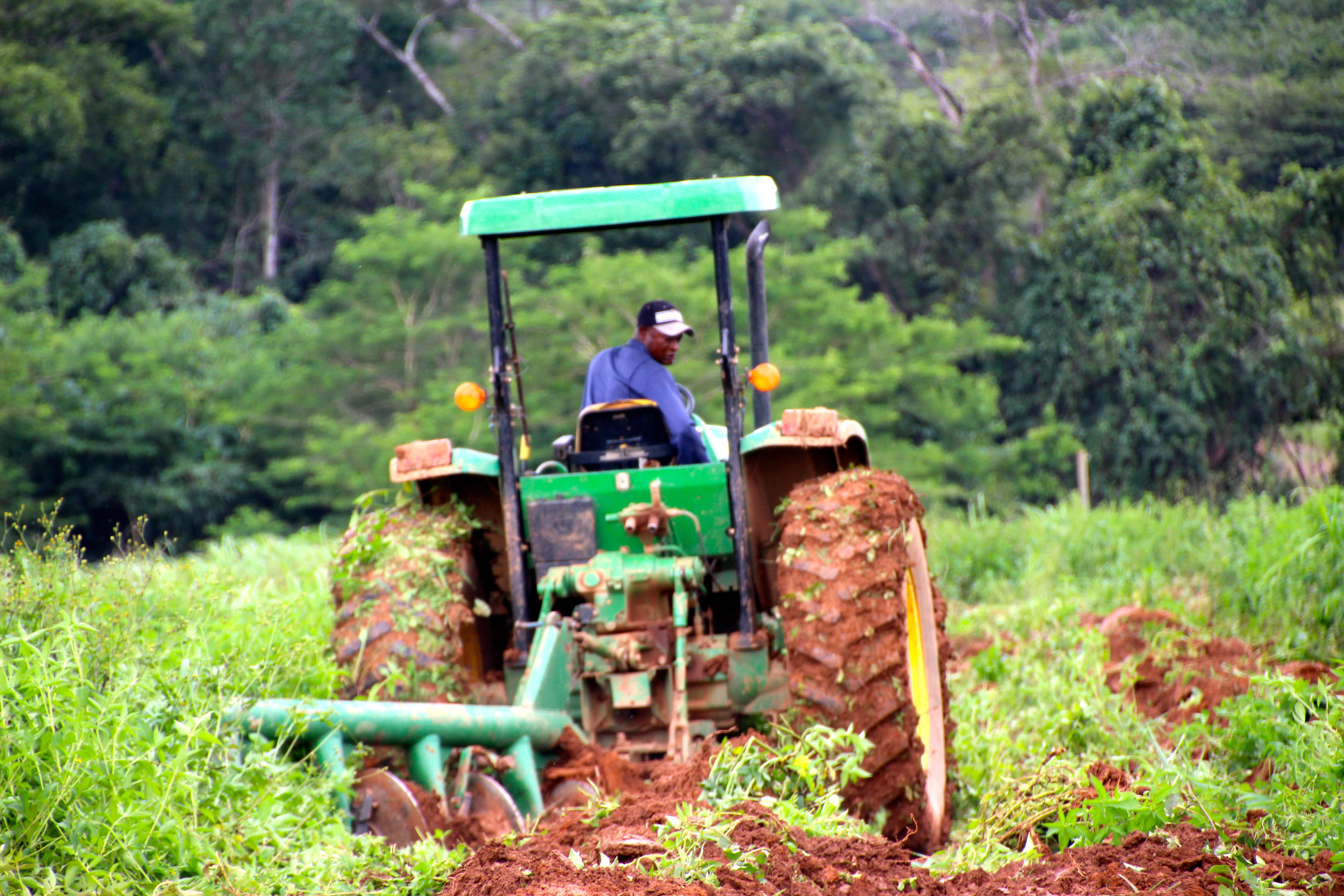 Afrique : L’agriculture vaut 1000 Milliards $