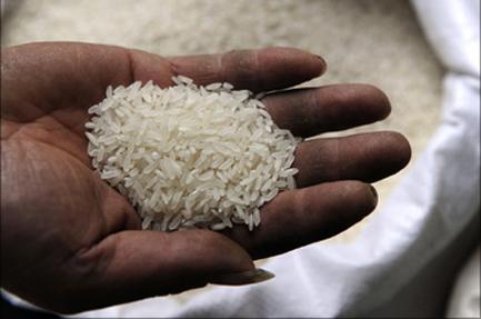 Nigeria: 18 mois pour l’autosuffisance en riz