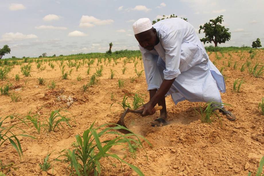 Nigeria : 9 millions $ pour les PME agricoles
