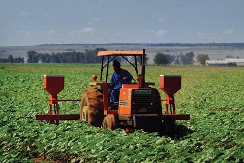 L’agriculture a boosté la croissance en Afrique