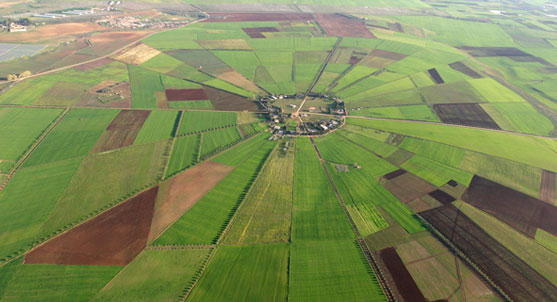 Le Maroc adopte l’agriculture durable pour combattre le changement climatique