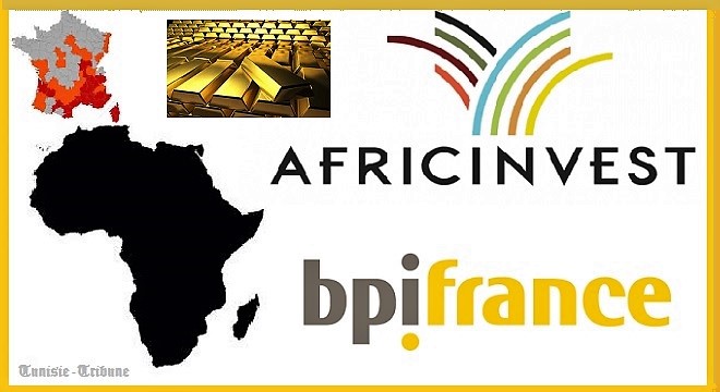 Un nouveau soutien pour le Fonds d’investissement franco-africain pour les PME innovantes