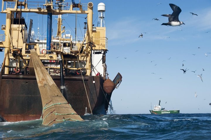 La surpêche coûte annuellement 83 milliards $ à la planète