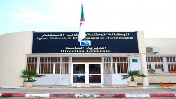 Algérie : Vers la réorganisation de l’Agence de développement de l’investissement