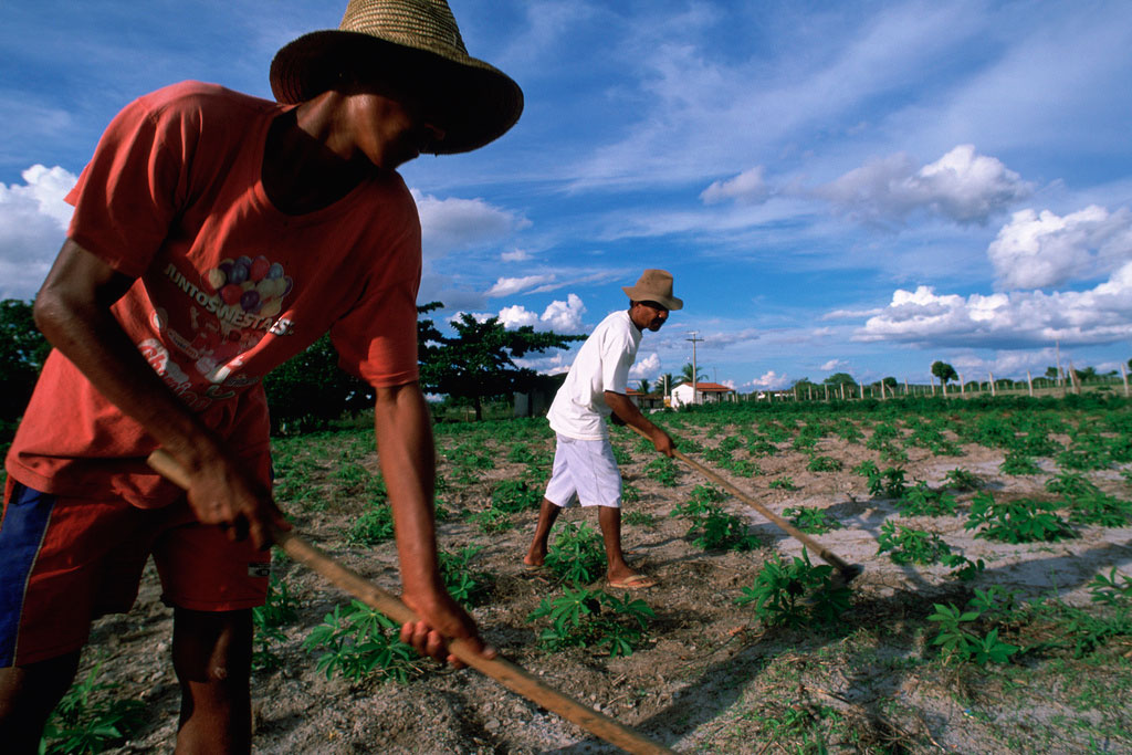 La FAO suggère des investissements accrus dans l’agriculture pour réduire la famine
