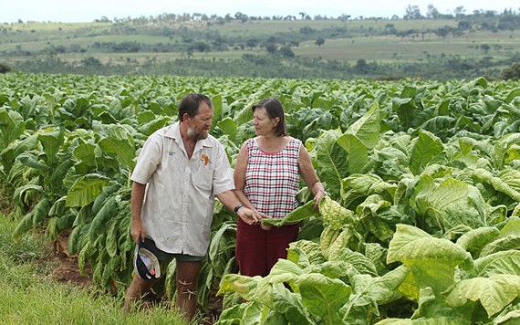 Zimbabwe: Extension de la durée de bail de 5 à 99 ans pour les fermiers blancs