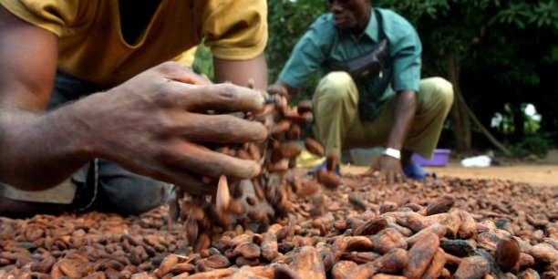 Côte d’Ivoire/Ghana : Un accord pour lutter contre la contrebande dans la filière cacaoyère