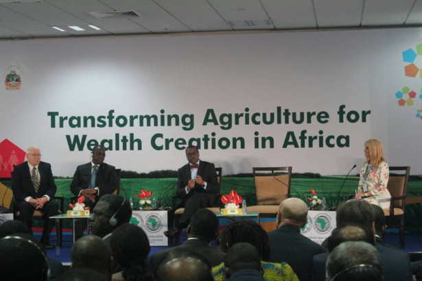 Afrique: L’agriculture, une opportunité pour le secteur bancaire