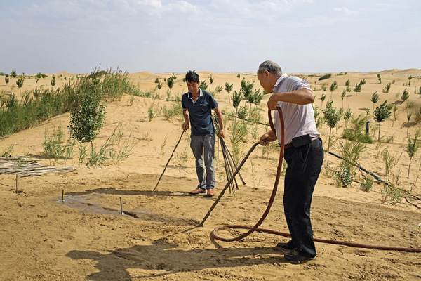 La Maroc et la FAO s’allient contre la dégradation des terres