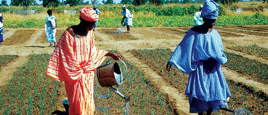 Le fonds sénégalais à l’entreprenariat rapide des femmes et des jeunes opérationnel