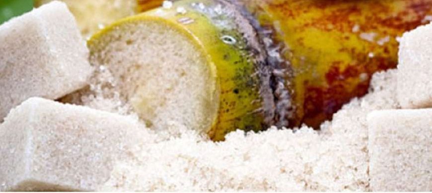 Un déficit du sucre annoncé sur le marché mondial