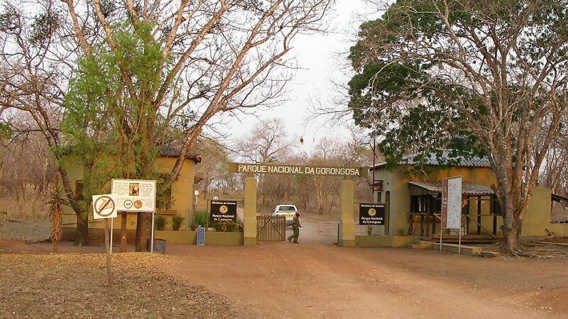 Le Mozambique va reboiser son Parc national