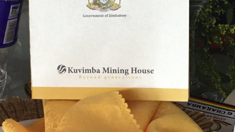 Le Zimbabwe va introduire sa société minière en bourse pour relancer l’économie