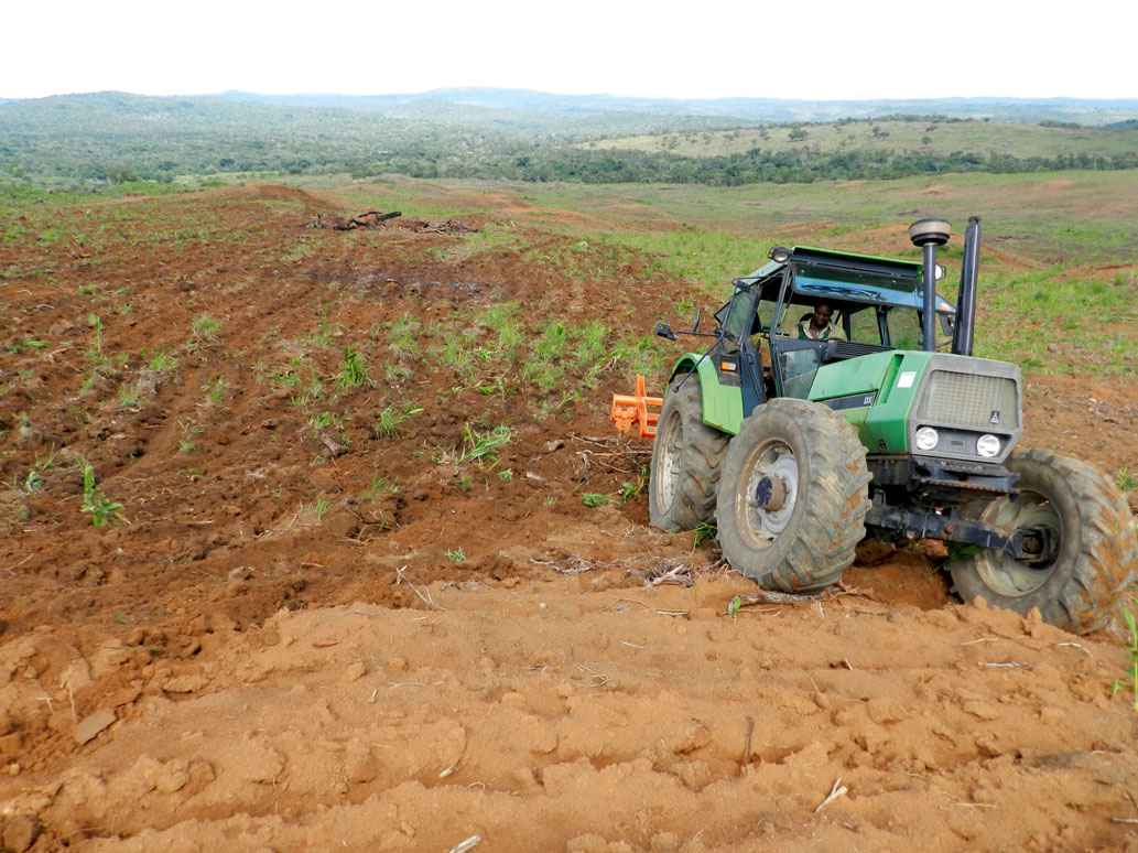 Cameroun : Exonération des droits de douane au bénéfice du secteur agricole