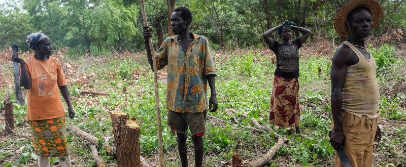 La déforestation en Centrafrique met en péril la pharmacopée