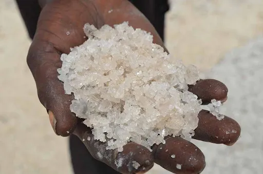 Sénégal : La société «Le Comptoir du sel» plaide pour une formation des professionnels du sel à Kaolack