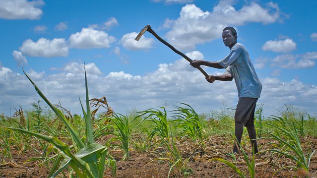 Le Mozambique reçoit 47 M$ de la BAD pour développer la zone agricole Pemba-Lichinga