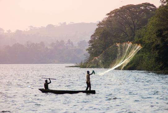 Tanzanie: Le lac Victoria menacé par les activités anthropiques