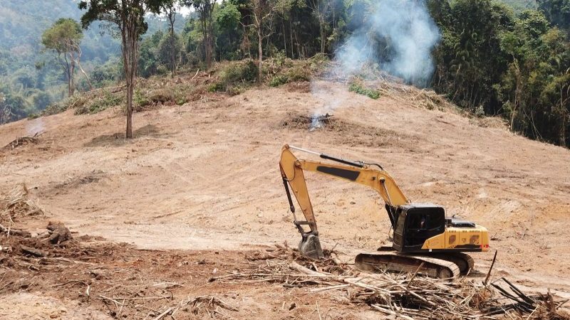 Cameroun: Greenpeace dénonce des exonérations fiscales accordées à la société Camvert