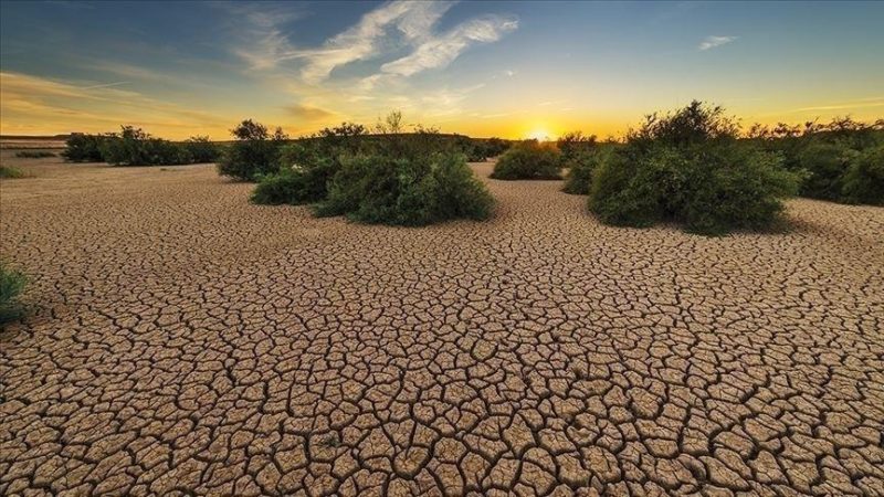 Environnement : Un nouveau rapport du Giec met l’accent sur l’adaptation aux impacts du changement climatique