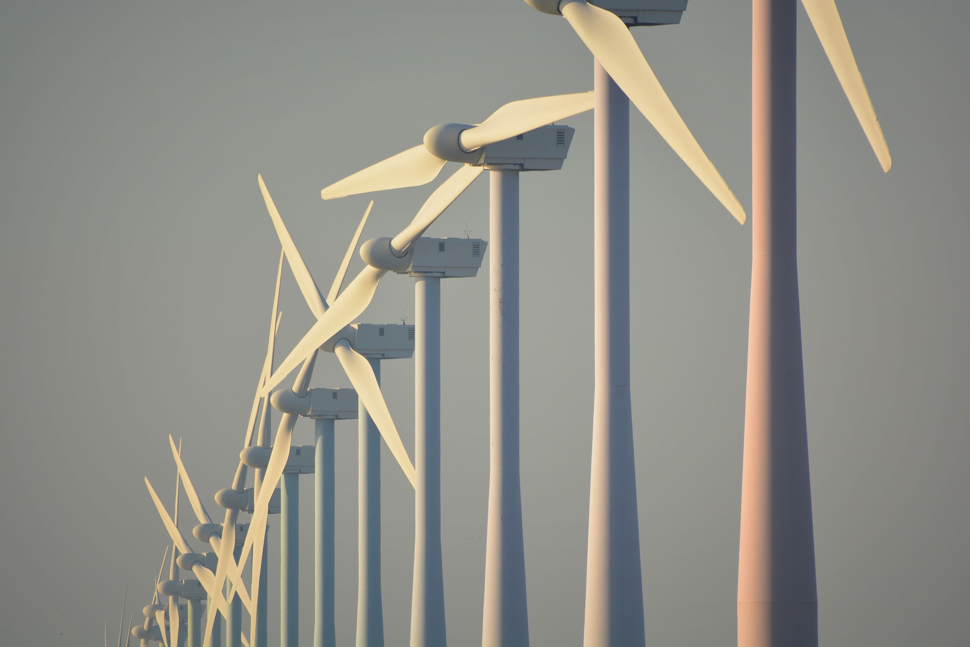 Savannah Energy va construire le premier parc éolien du Niger