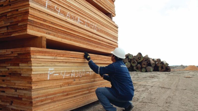 Ghana: Les exportations de bois ont augmenté de 22% durant le premier trimestre 2022