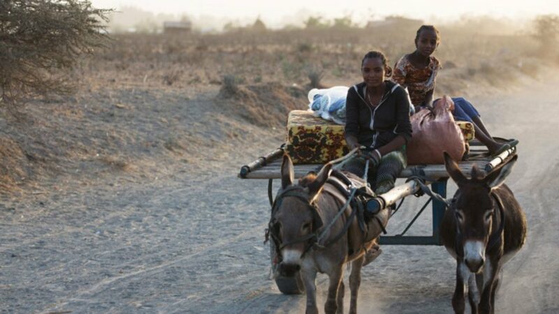 Les enfants sont les premières victimes de la sécheresse dévastatrice en Ethiopie