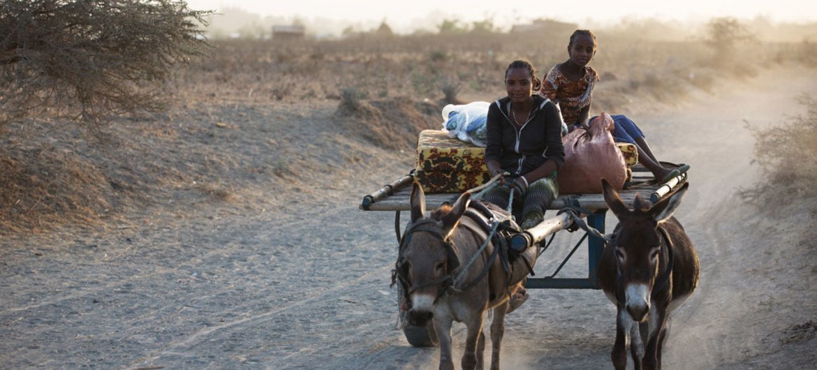 Les enfants sont les premières victimes de la sécheresse dévastatrice en Ethiopie