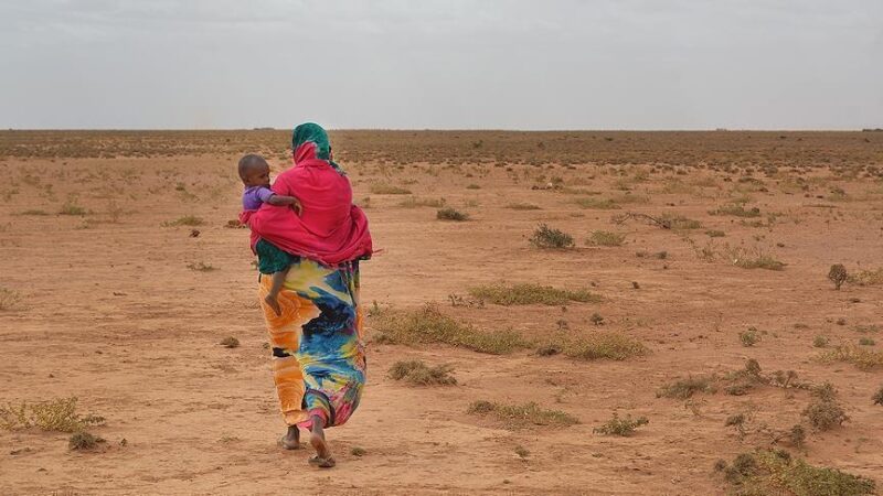 Corne de l’Afrique : La sécheresse affecte 18 millions de personnes (ONU)