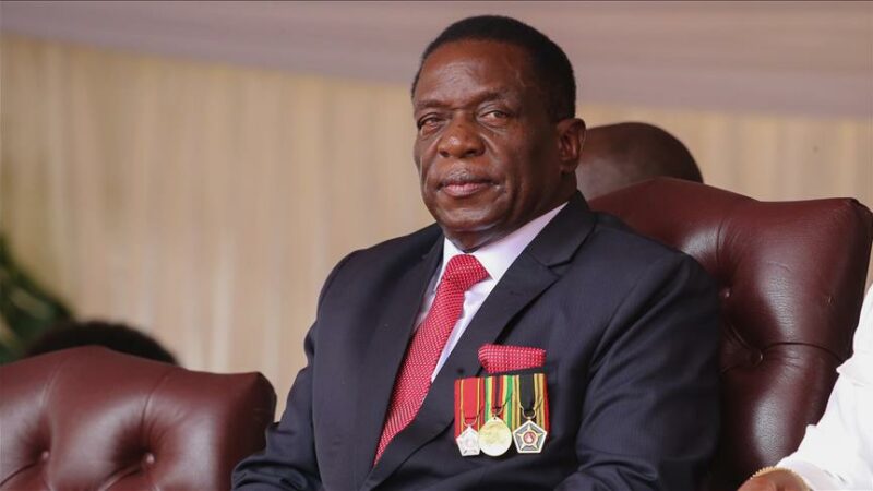Le gouvernement du Zimbabwe gèle les prêts bancaires suscitant la protestation des professionnels