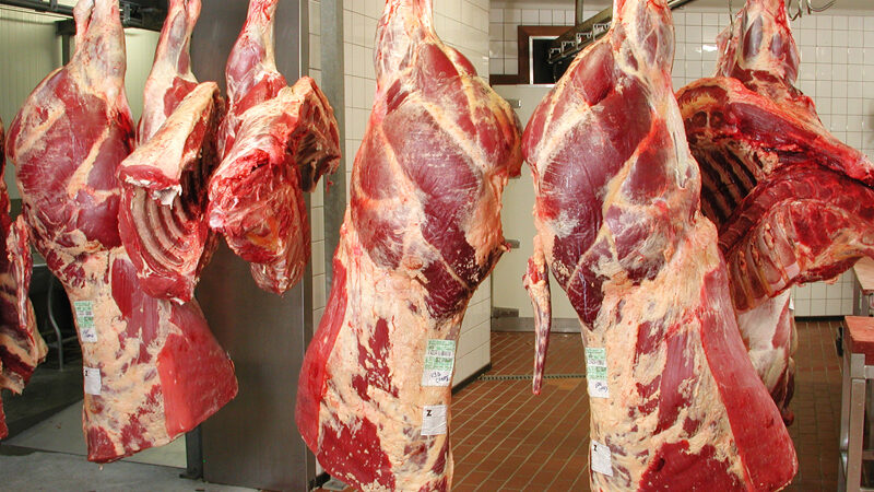 La Namibie projette l’exportation de sa viande bovine vers l’Angola