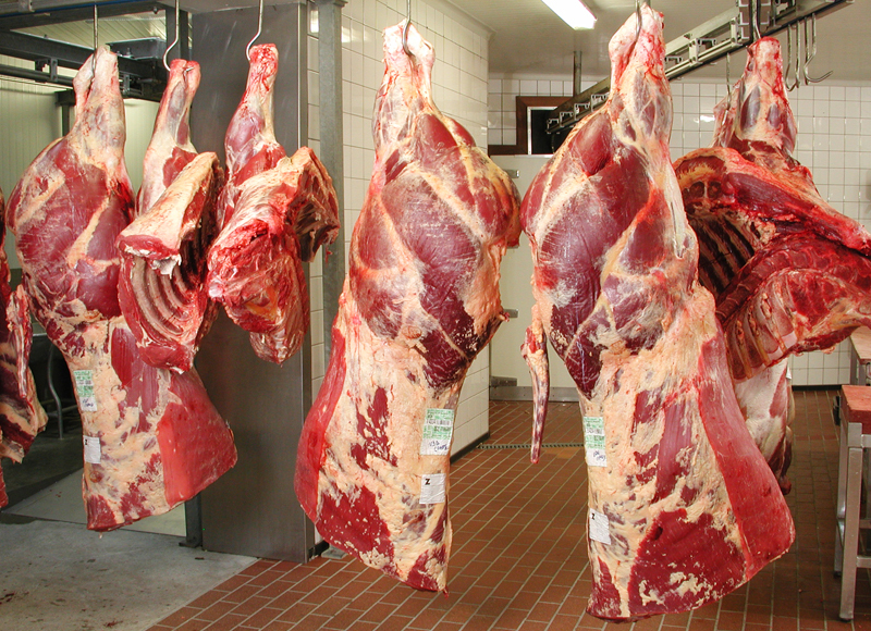 La Namibie projette l’exportation de sa viande bovine vers l’Angola