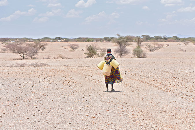L’Afrique a besoin de 250 milliards de dollars par an pour lutter contre le changement climatique