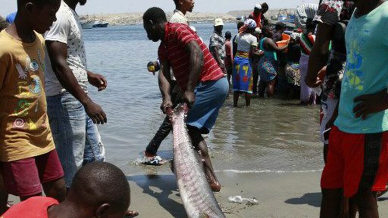Mise en place en Angola d’une nouvelle unité de traitement de poissons