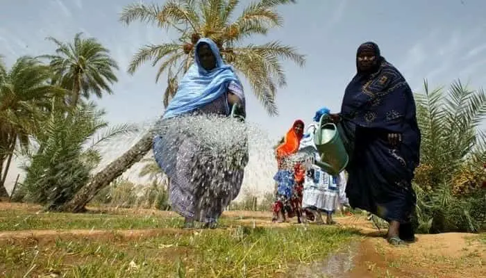 Démarrage de la campagne agricole 2022-2023 en Mauritanie