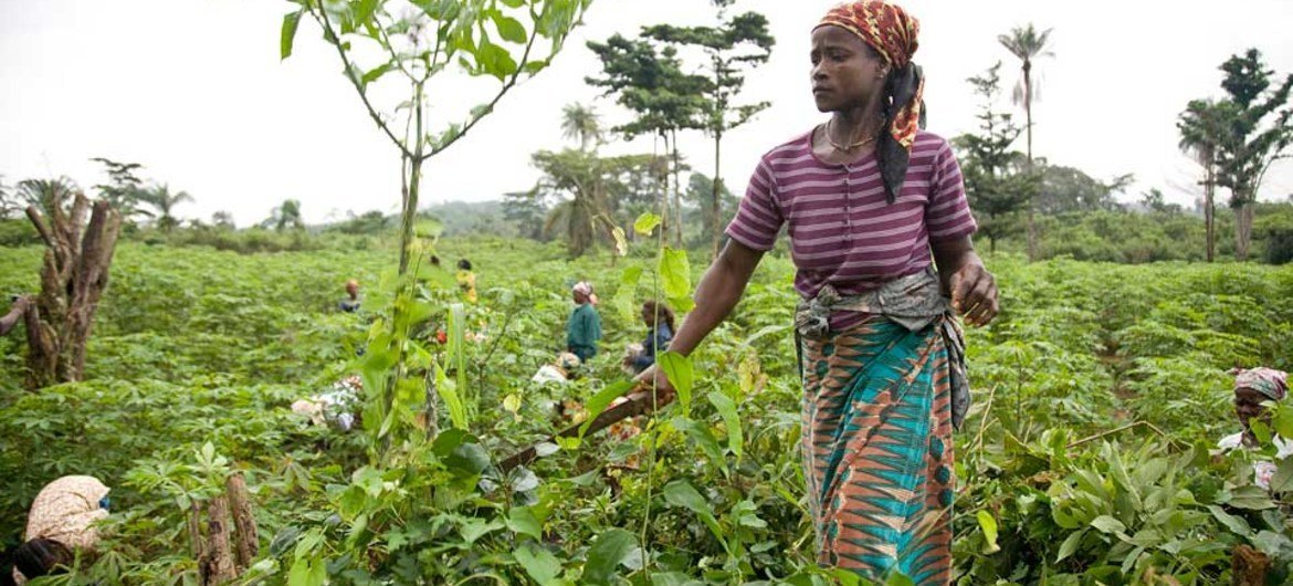 La Banque mondiale affecte au Liberia 53 millions de dollars pour l’autonomisation des femmes
