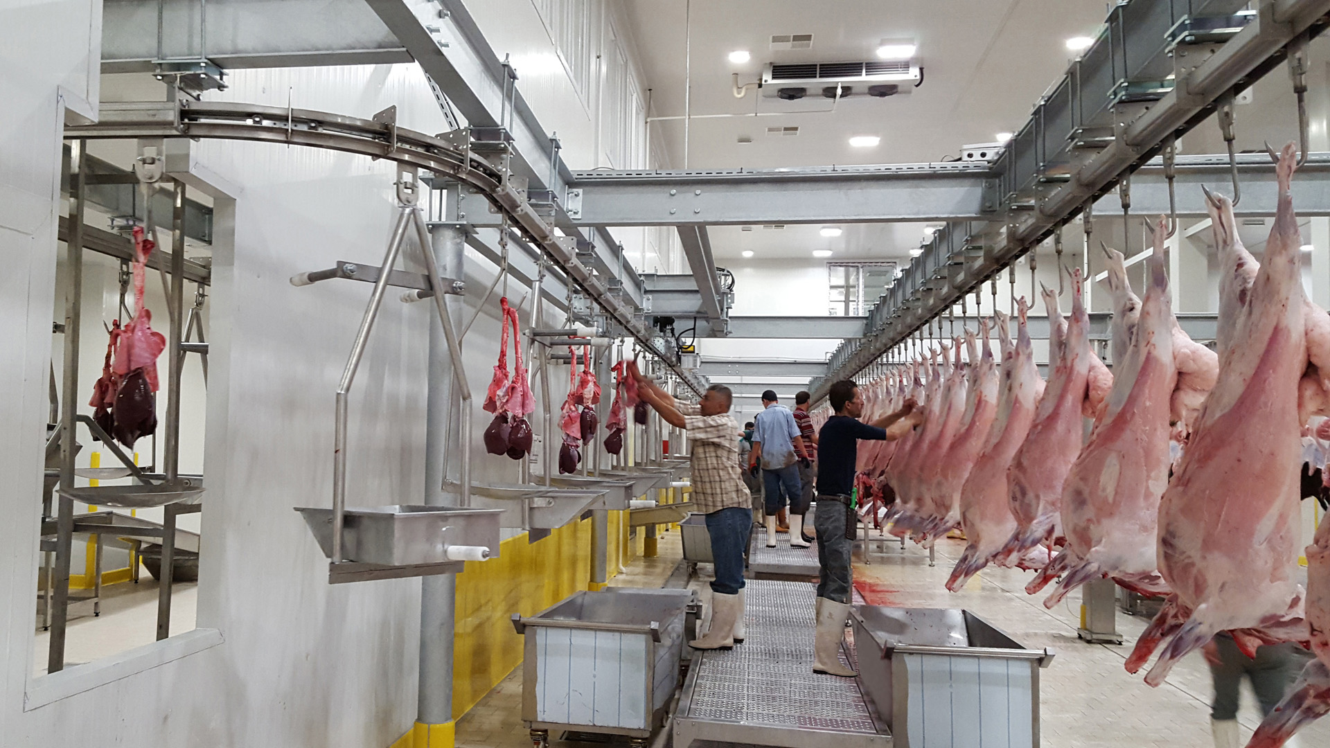 Namibie :  La filière bovine mobilise 9 millions $ pour la construction d’une usine de transformation des viandes rouges