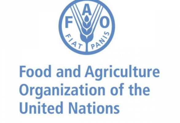 La FAO projette l’établissement d’une carte numérique des sols d’Afrique subsaharienne