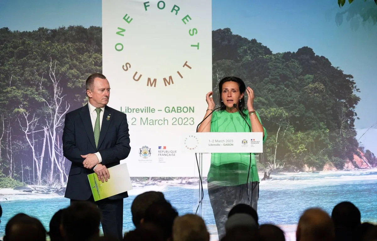 «One Forest Summit» 2023 : Création à Libreville d’un fonds pour encourager la protection des forêts 