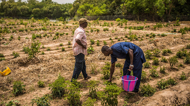 La FAO invite les Etats africains à tirer le plein potentiel de leur secteur agricole