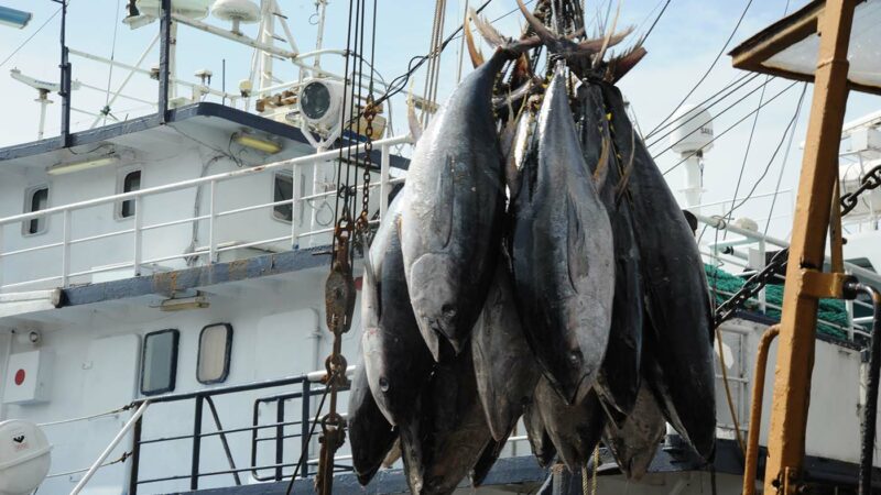Fin du repos biologique et reprise de la pêche ce lundi en Côte d’Ivoire