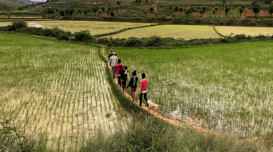 Le pouvoir de Transition à Madagascar va booster autrement le secteur agricole sous-exploité 