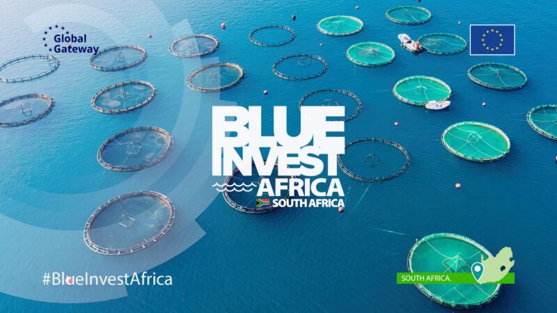 Economie maritime en Afrique : Lancement ce lundi 26 janvier, de l&rsquo;appel à candidatures du «BlueInvest Africa»