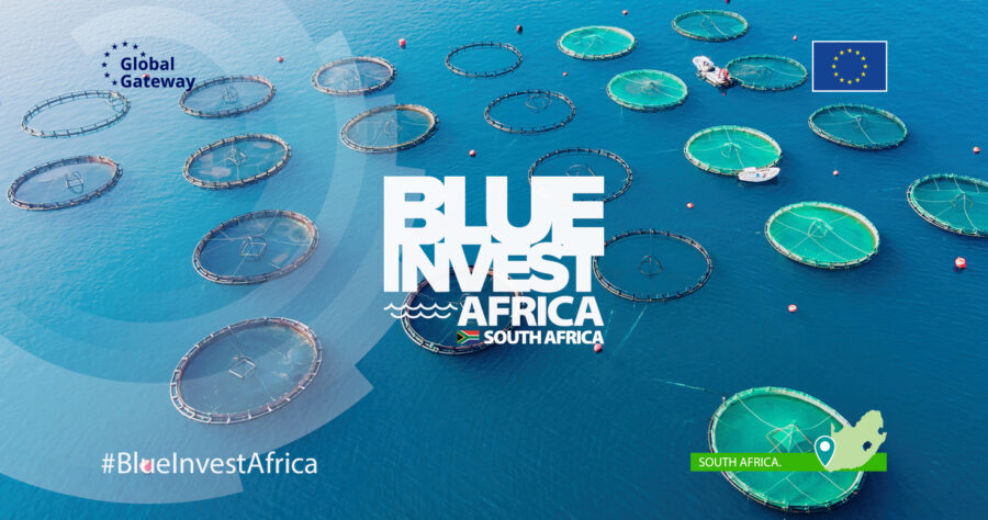 Economie maritime en Afrique : Lancement ce lundi 26 janvier, de l&rsquo;appel à candidatures du «BlueInvest Africa»
