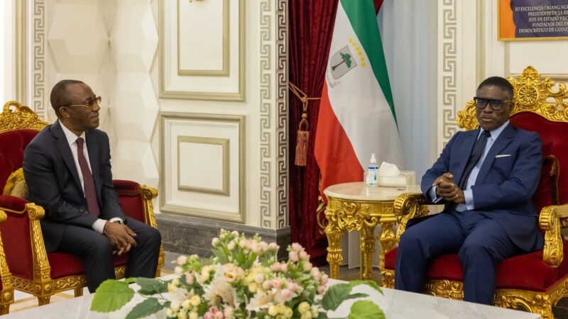 Le Cameroun et la Guinée équatoriale valident l&rsquo;exploitation du champ gazier transfrontalier Yoyo-Yolanda